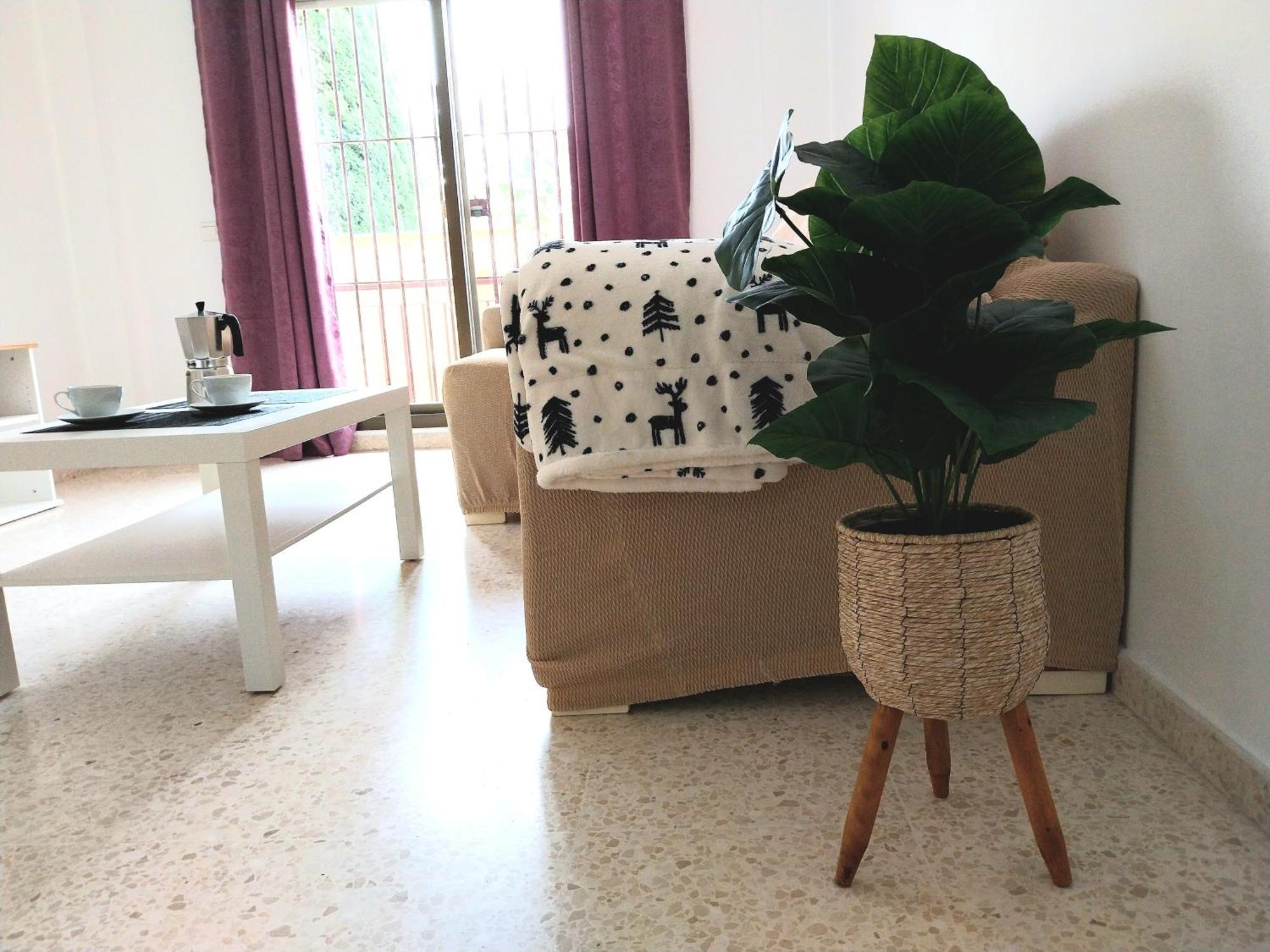 Top Suite Apartment Jerez Jardin Y Patio Jerez de la Frontera Exterior photo
